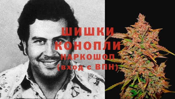 прущие грибы Арсеньев