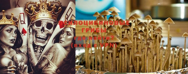 метадон Аркадак
