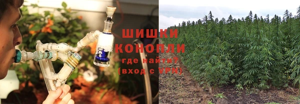 прущие грибы Арсеньев